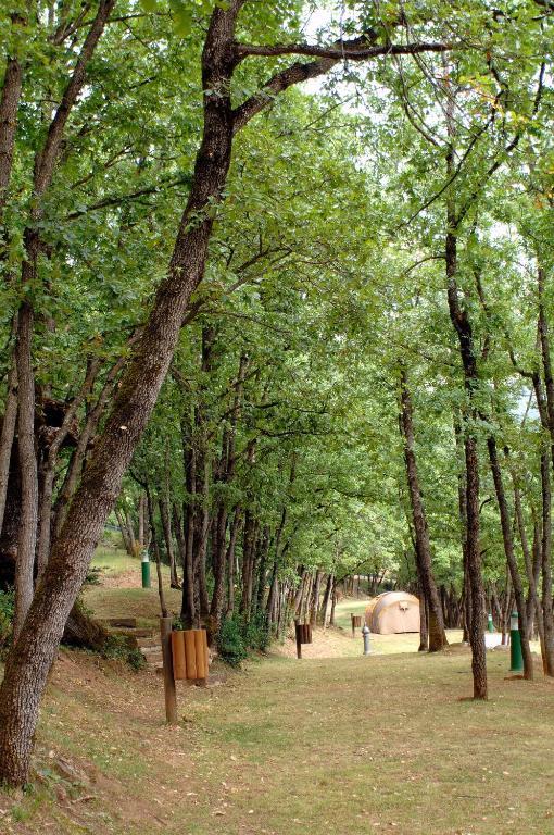 Camping Gavin Hotel Bagian luar foto
